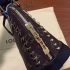 Louis Vuitton Alma bag